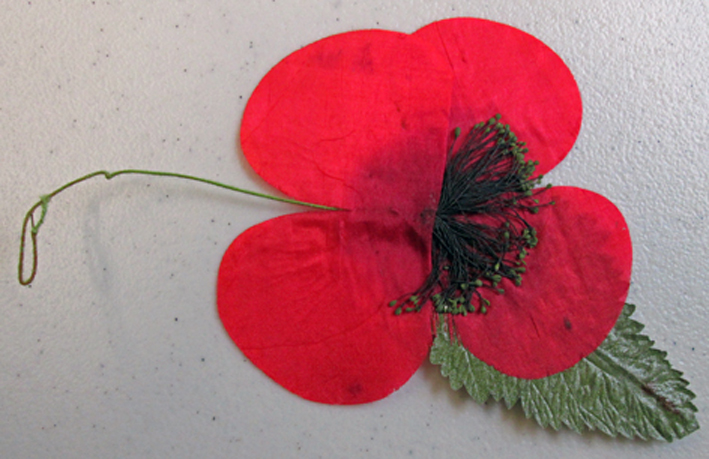 Remembrance poppy