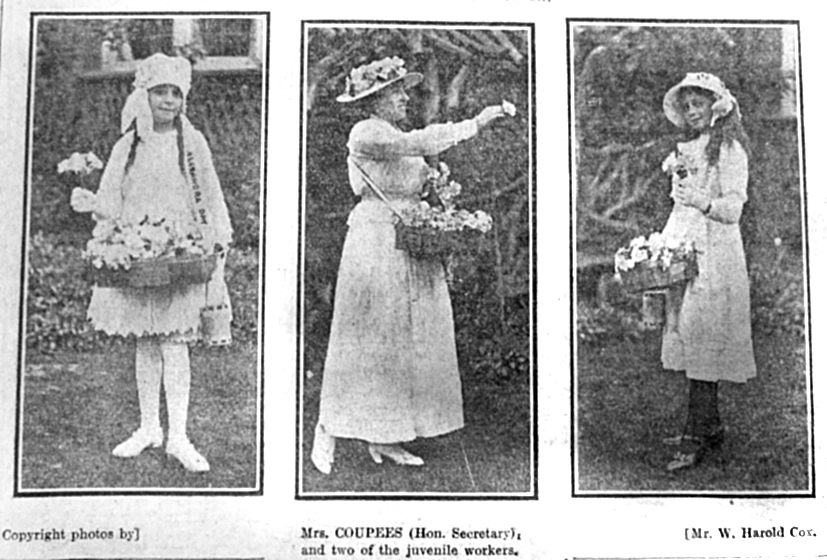 Alexandra Rose Day collectors 1916
