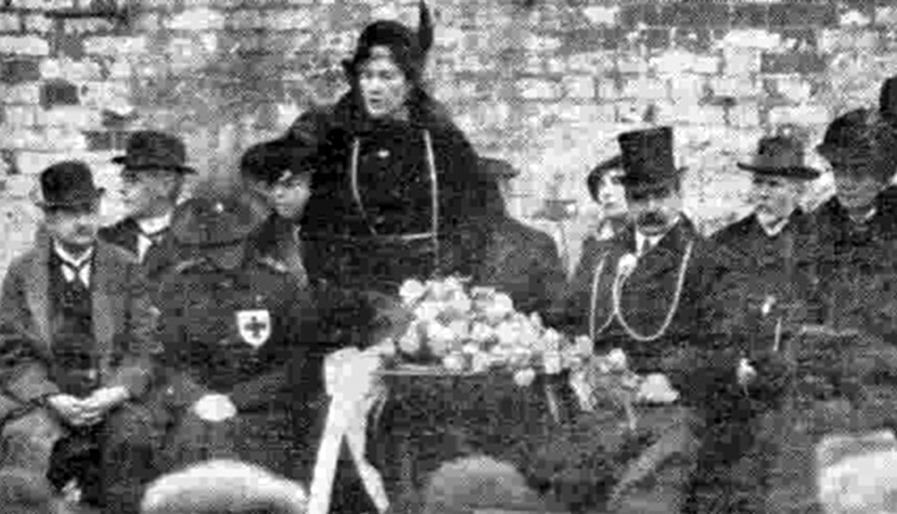 Farmers' Red Cross auction