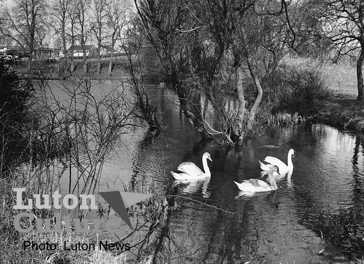 Farley Pond in 1976
