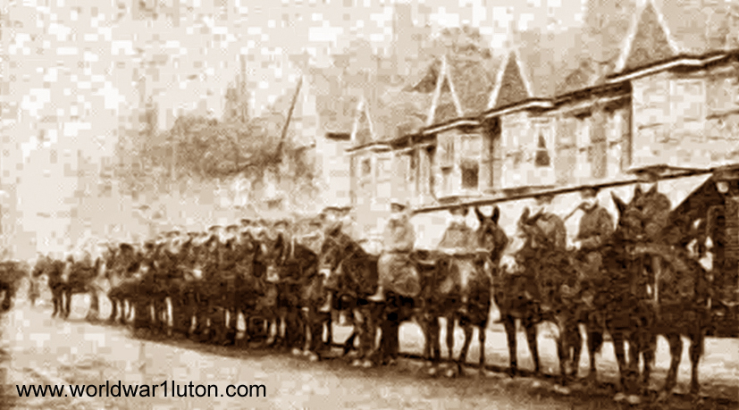 Army Service Corps mules in Luton