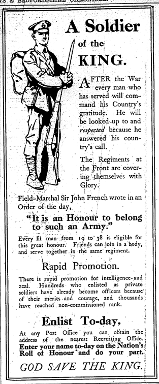 A Soldier for the King