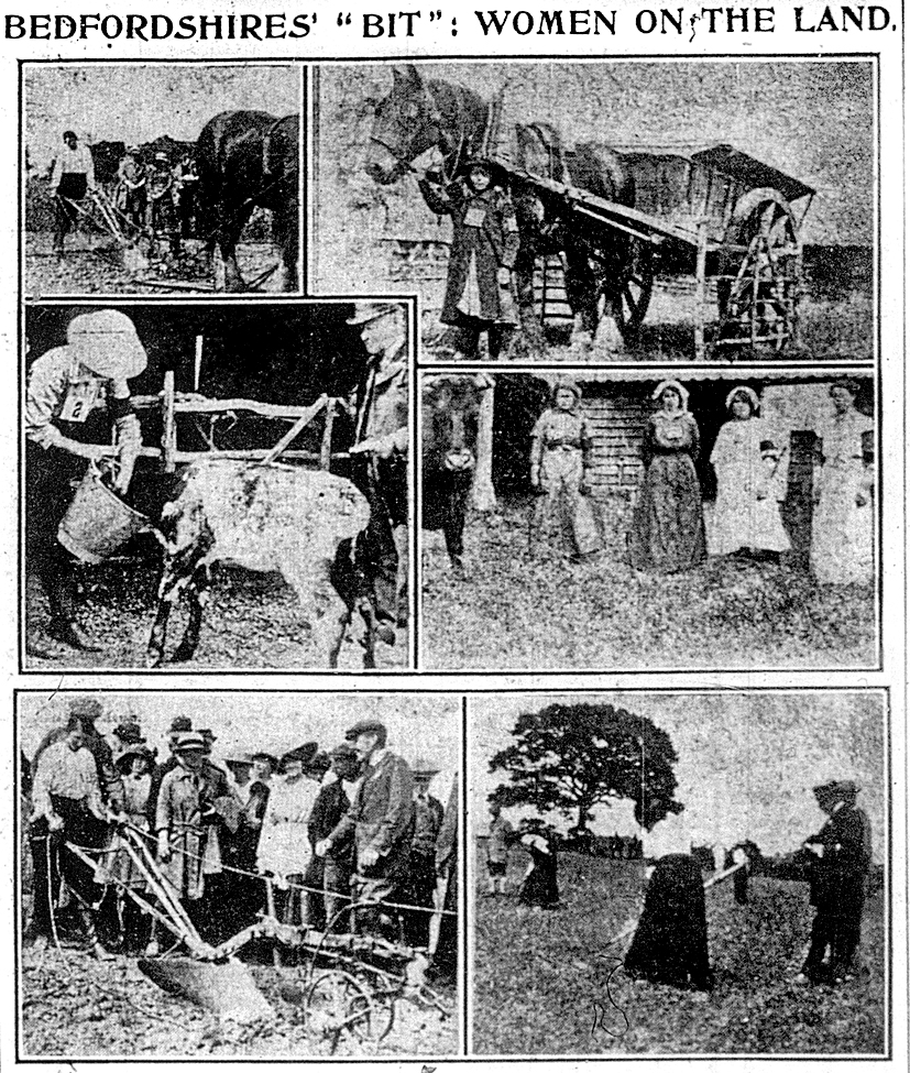 Women  on the land montage